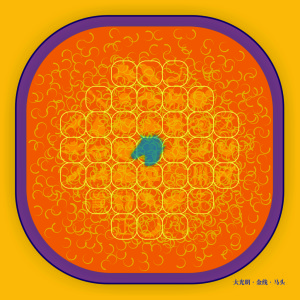 大光明.金线.马头 22